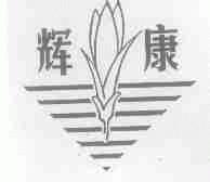 辉康