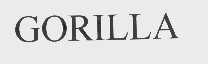 GORILLA