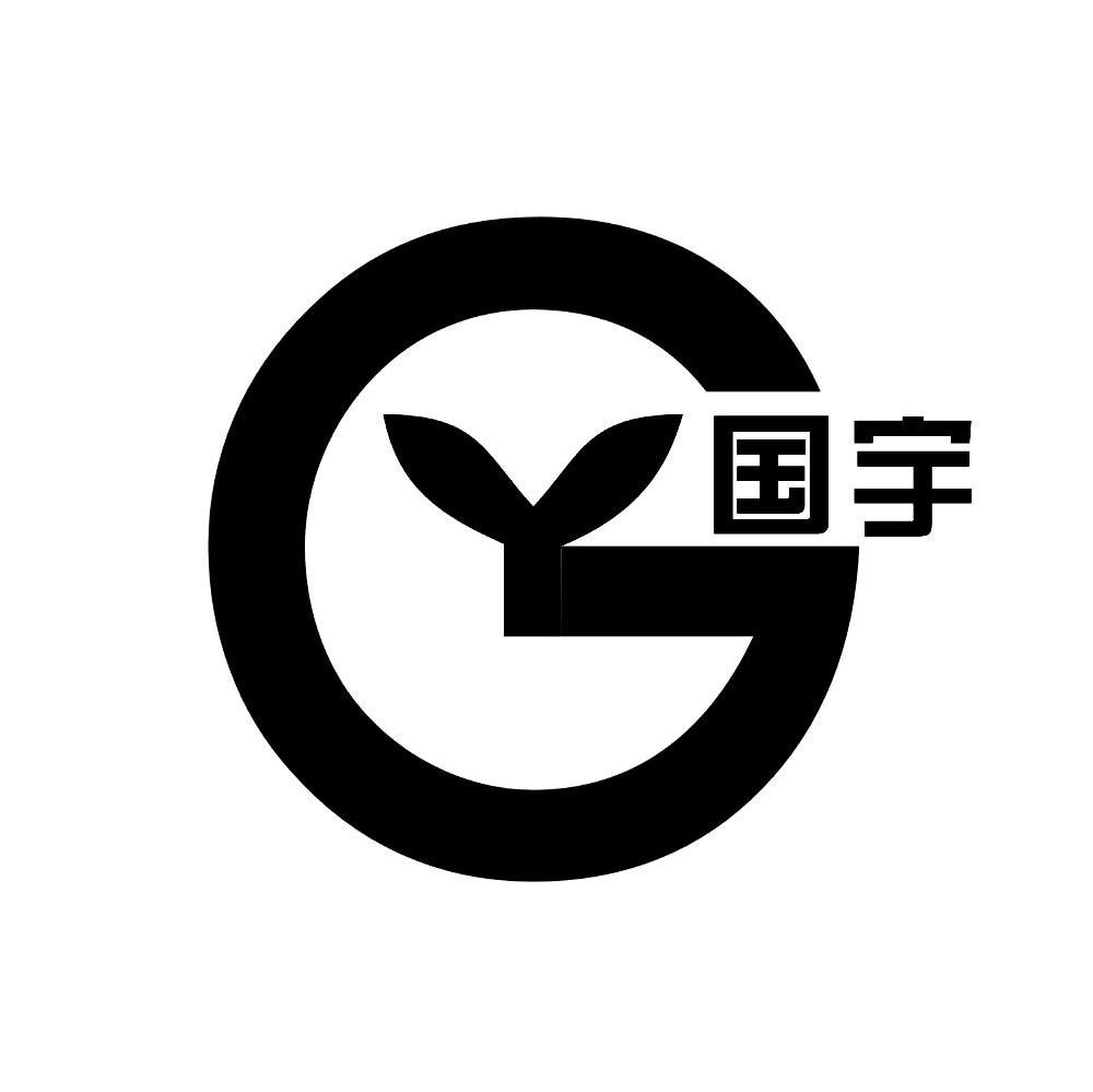 国宇 G