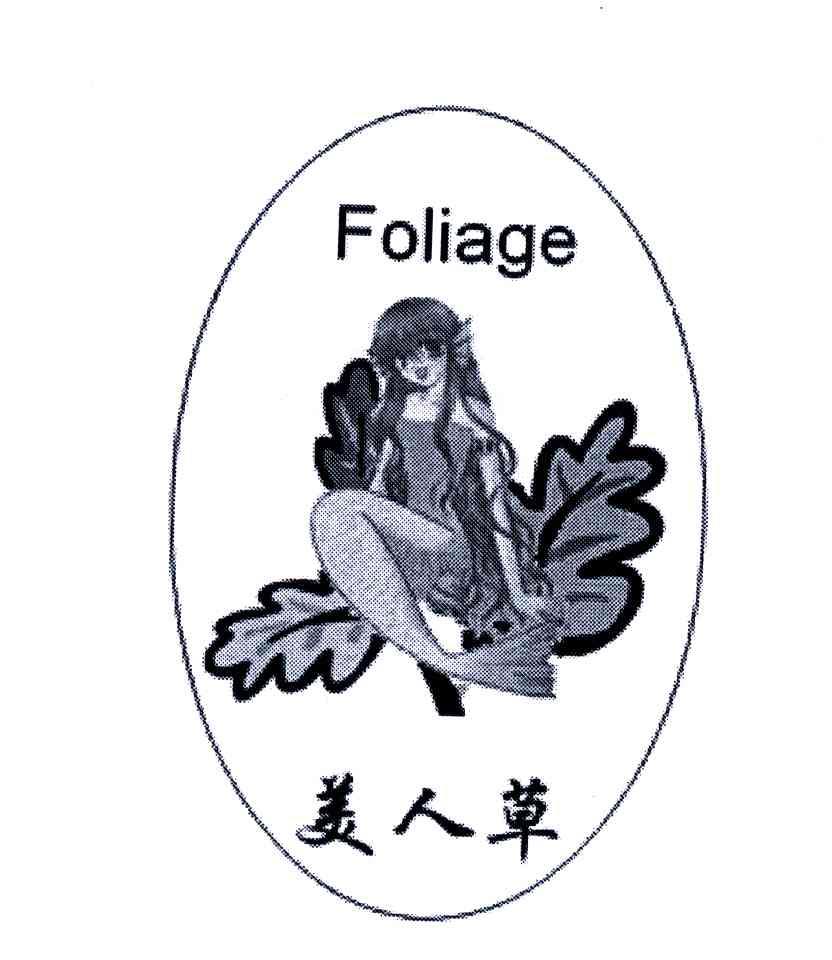 美人草;FOLIAGE