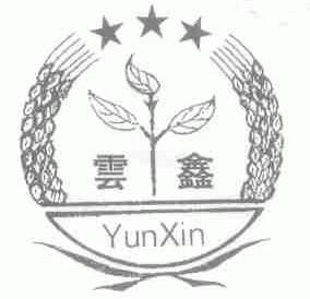 云鑫