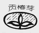 贡椿芽
