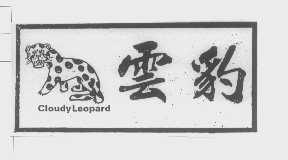 云豹   CLOUDY LEOPARD