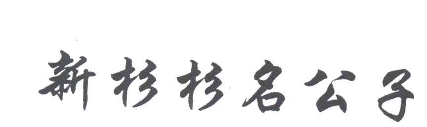 新杉杉名公子