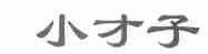 小才子