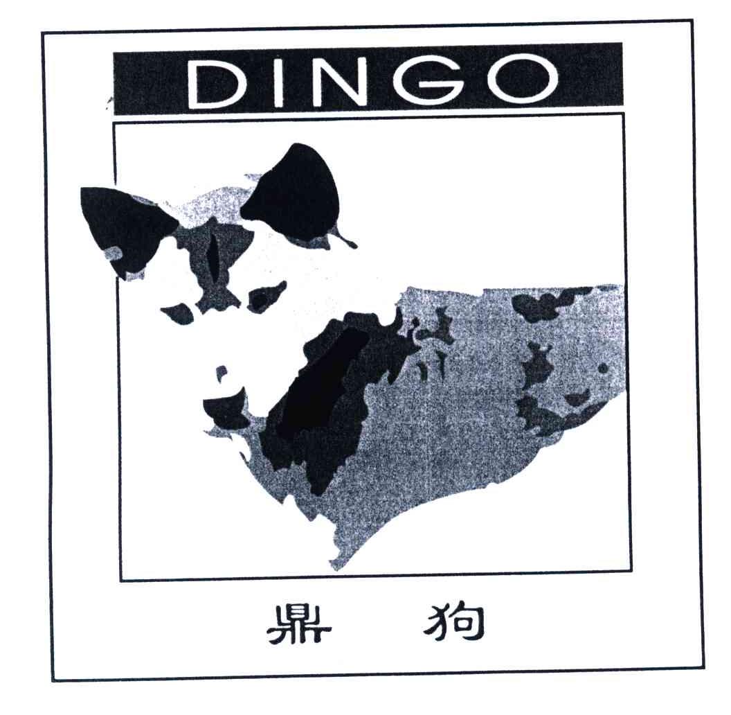 鼎狗;DINGO