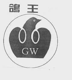 鸽王