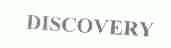 DISCOVERY