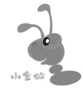 小金蚁