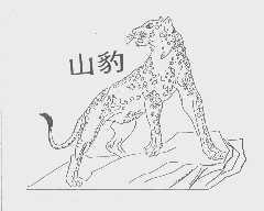 山豹