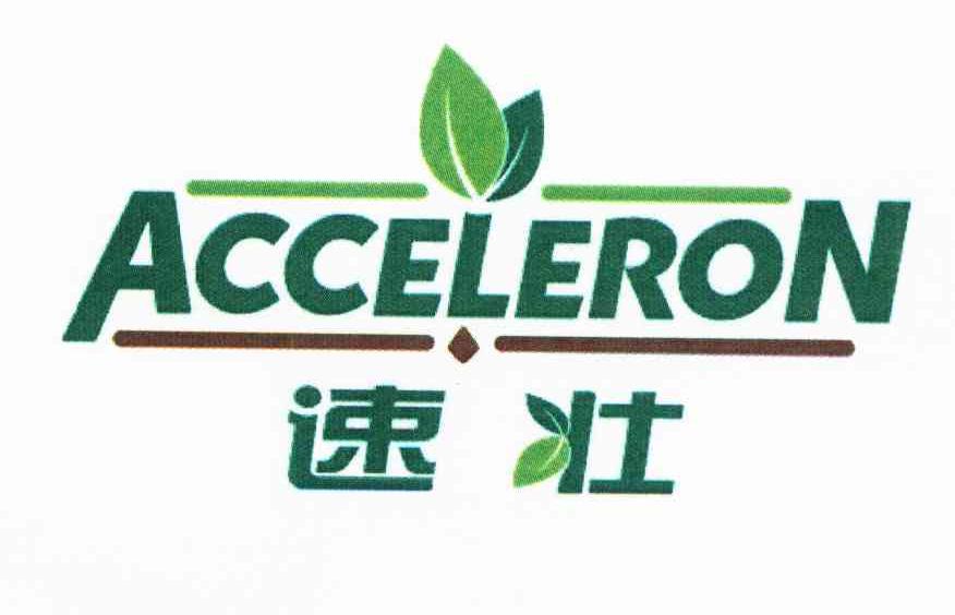 速壮 ACCELERON