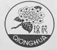 琼花