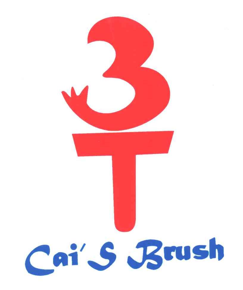 CAI&rsquo;S BRUSH