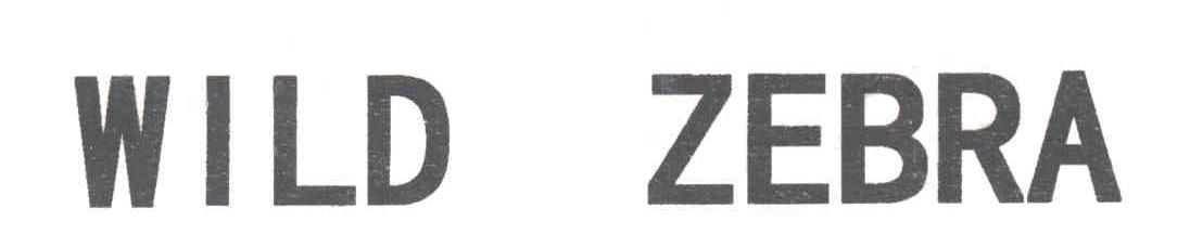 WILD ZEBRA