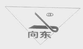 向东