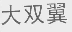 大双翼