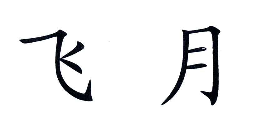 飞月