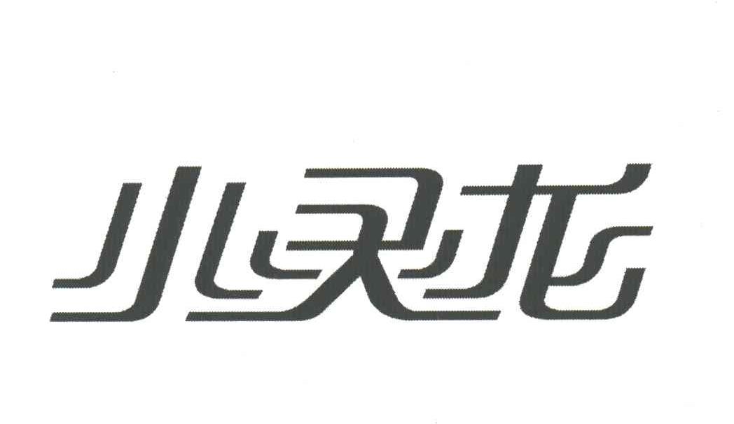 小灵龙