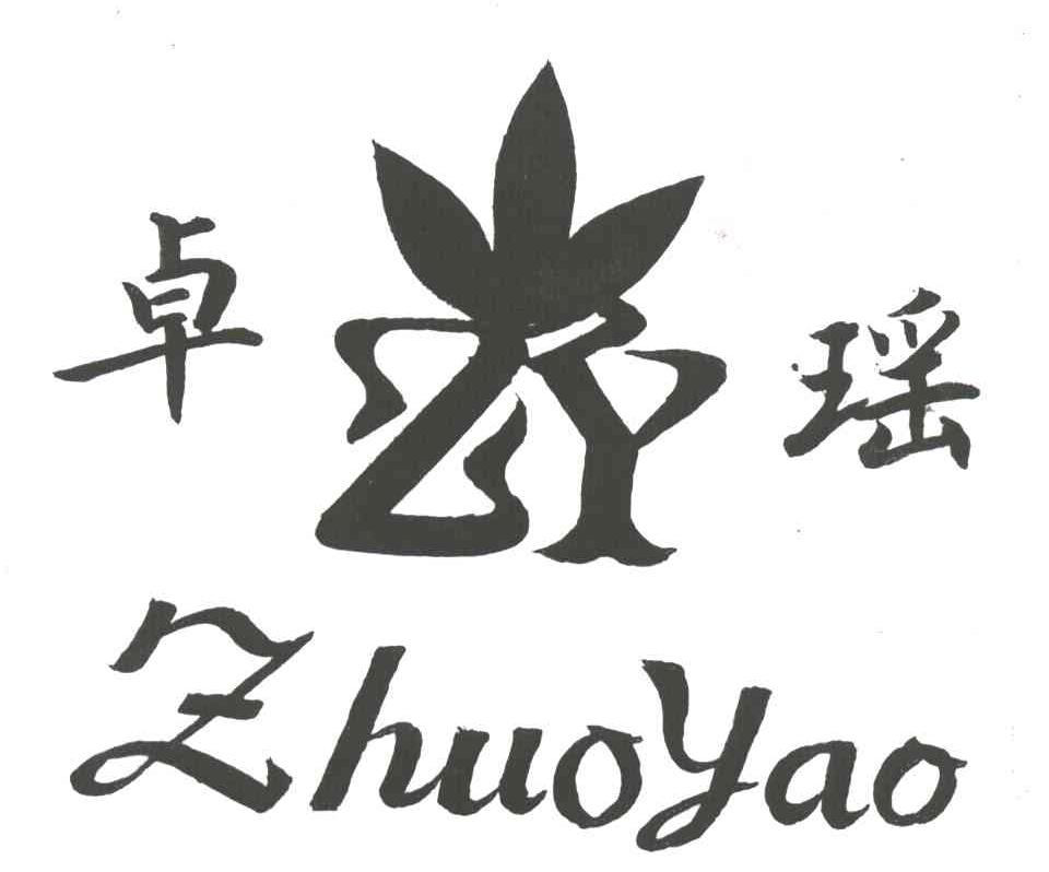 卓瑶