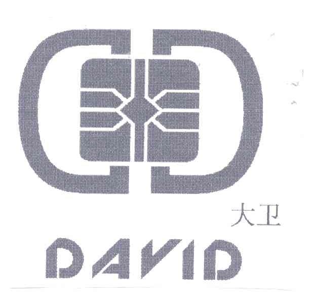 大卫   DAVID