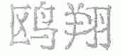 鸥翔