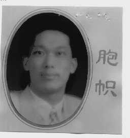 胞帜
