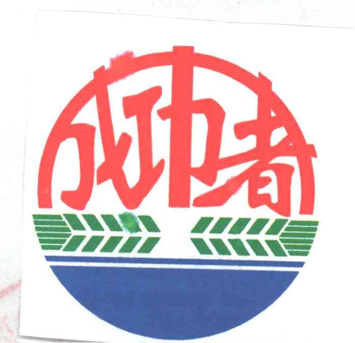 成功者