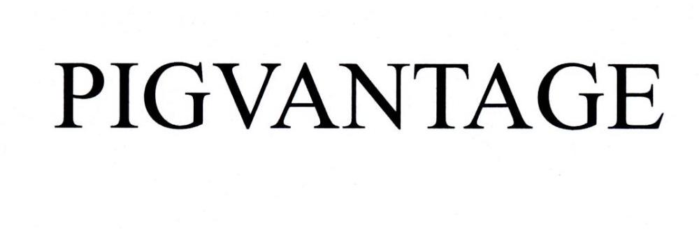 PIGVANTAGE