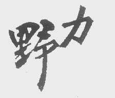 野力