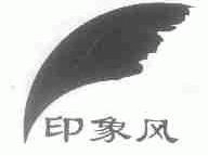 印象风