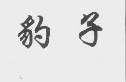 豹子