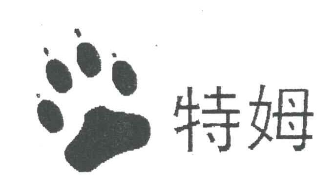 特姆