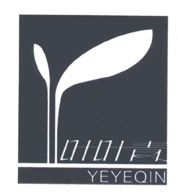 叶叶青;YEYEQIN