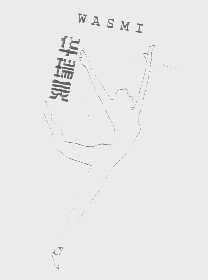 华瑞美   WASMI