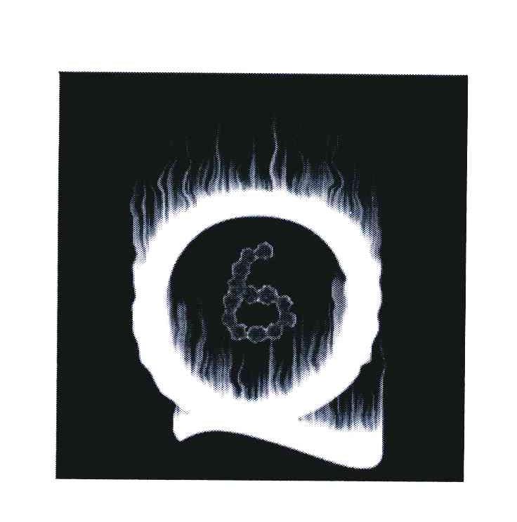 Q6