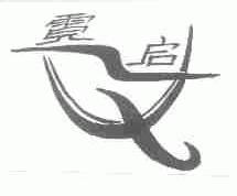 霓启