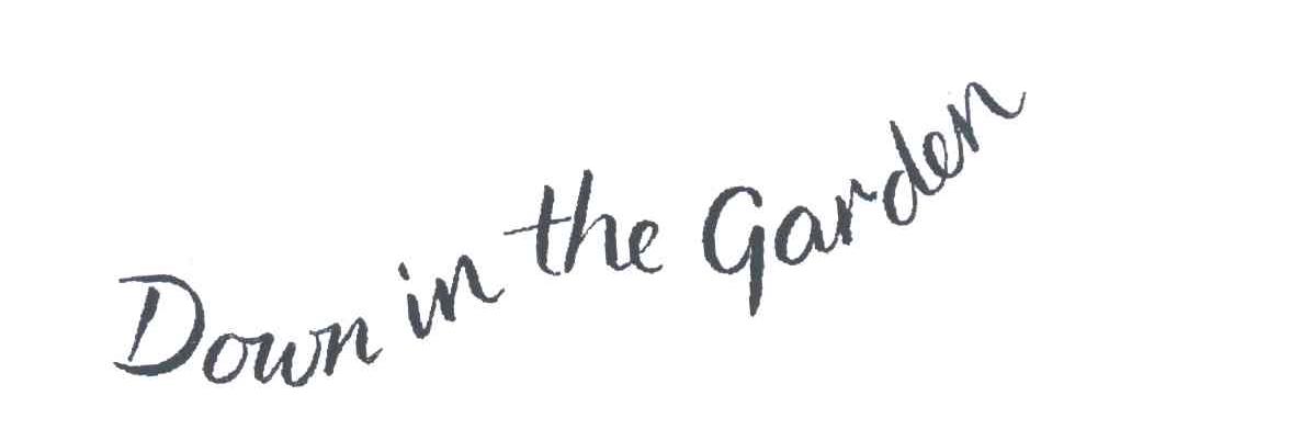 DOWN IN THE GARDEN
