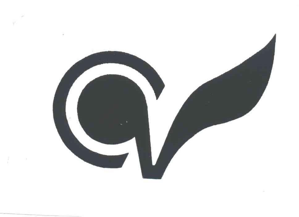 CV