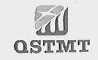 QSTMT