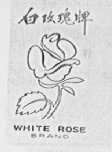 白玫瑰