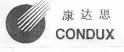 康达思;CONDUX