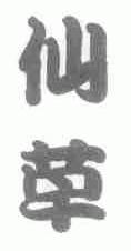 仙草
