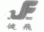 健飞