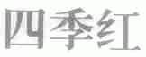 四季红