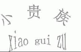 小贵族