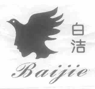 白洁