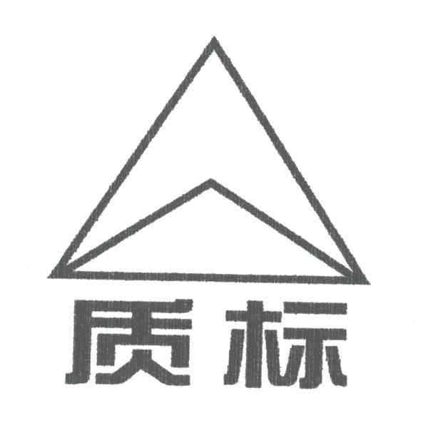 质标