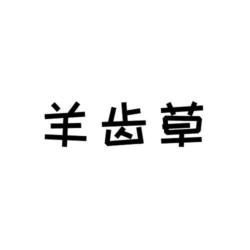 羊齿草