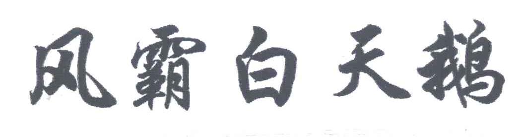 风霸白天鹅