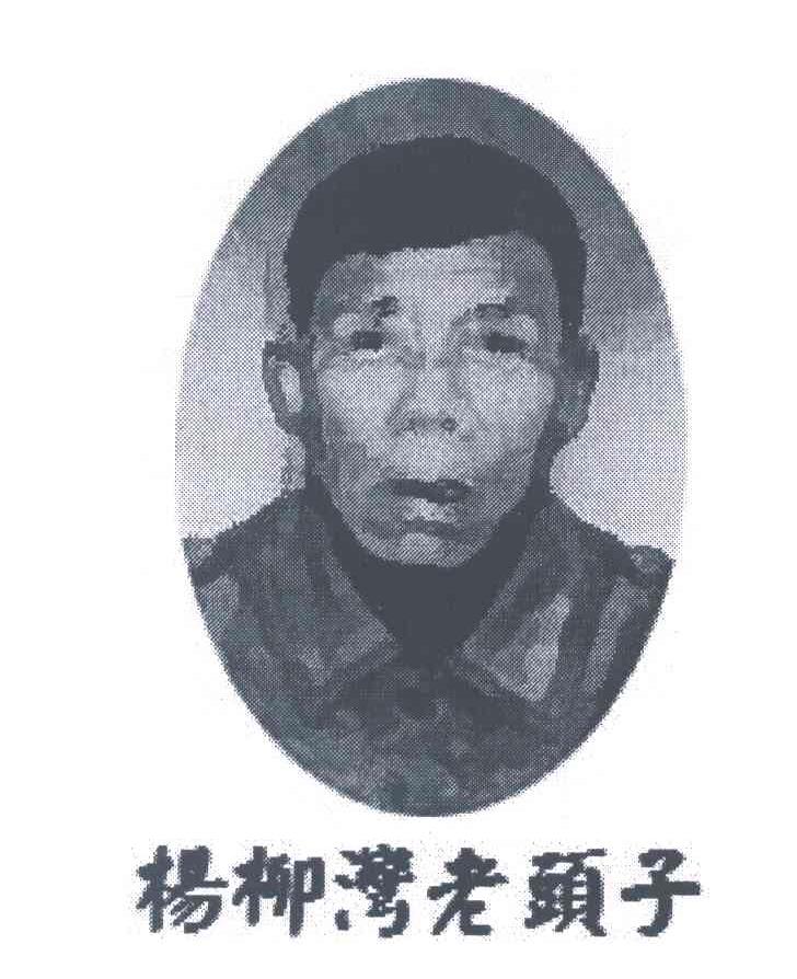杨柳湾老头子